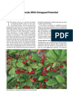 Aronia: Native Shrubs With Untapped Potential Mark Brand