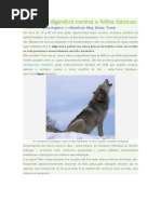 Fisiologia digestiva canina e felina básicas