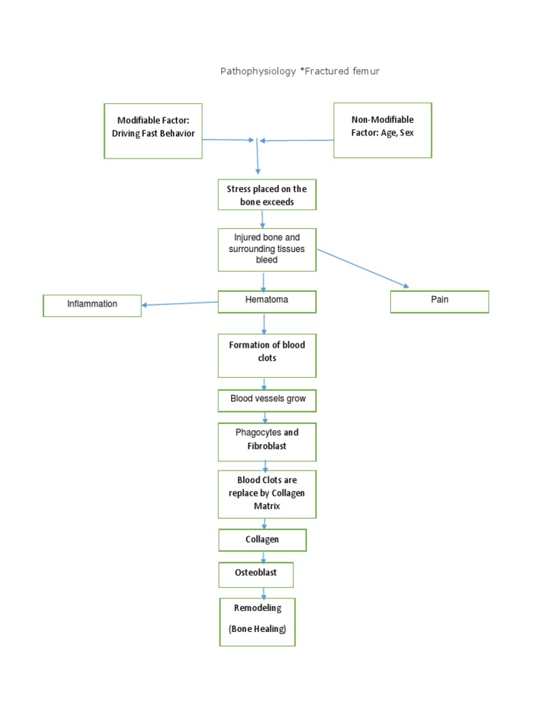 epub conceptualising the social