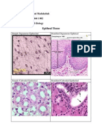 Epitheal Tissue: Name: Fariani Madukubah Reg. Number: 121 444 1 002 Class: ICP B Biology