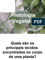 Histologiavegetal1 110828145151 Phpapp01