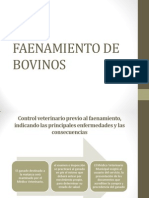 Faenamiento bovinos-Control previo enfermedades