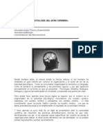 []_Etiologia_Del_Daño_Cerebral