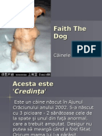 Faith The Dog