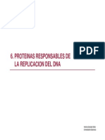 Proteinas Responsables de La Replicacion Del DNA