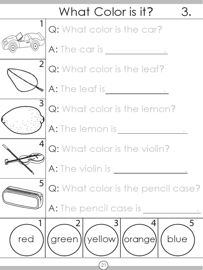 Color Identification Questions | PDF | Home & Garden