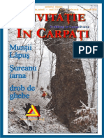 Invitatie in Carpati 2006 Ianuarie