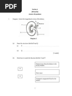 Section A (40 Marks) Answer All Questions