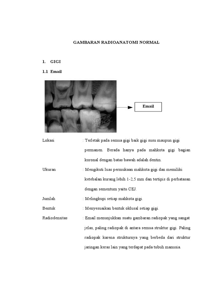 Gambaran Radioanatomi Normal | PDF | Kajian Bahasa Asing