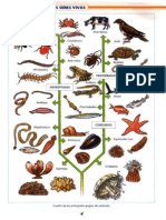 Atlas de Zoologia, Santillana