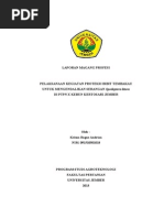 Download PELAKSANAAN KEGIATAN PROTEKSI BIBIT TEMBAKAUUNTUK MENGENDALIKAN SERANGAN Spodoptera lituraDI PTPN X KEBUN KERTOSARI JEMBER by Krisna Doel Andrian SN169261847 doc pdf