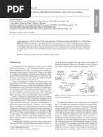 Esquizofrenia Quarenta Anos