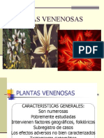 3058050-Plantas-venenosas