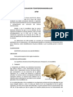 Artrologa Atm 111013224248 Phpapp02 PDF