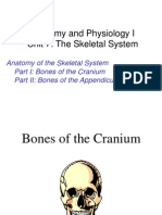 Anatomy and Physiology I Unit 7: The Skeletal System