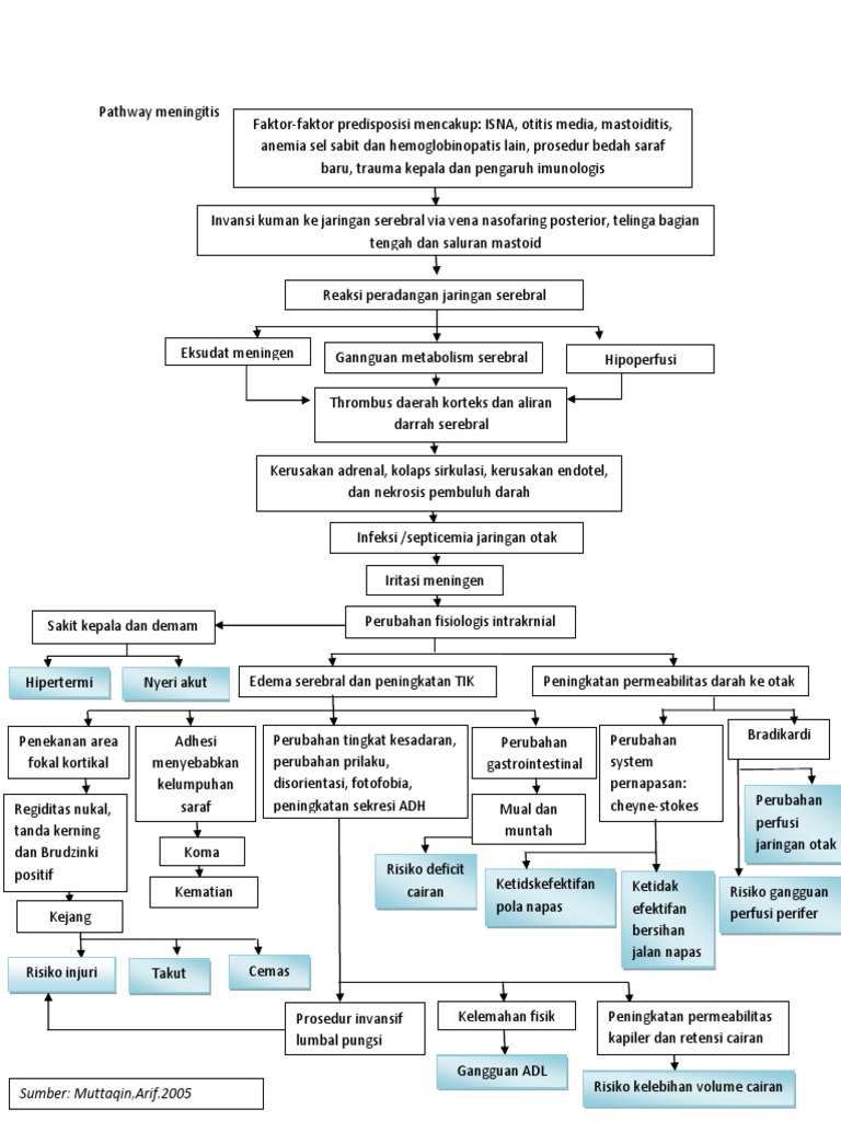 Pathway Meningitis