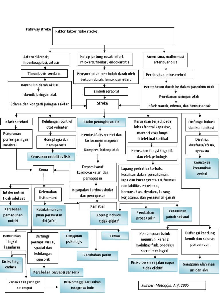 Pathway Stroke