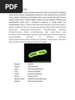 Download Pseudomonas Putida Summary by Navisan Najia SN169311603 doc pdf