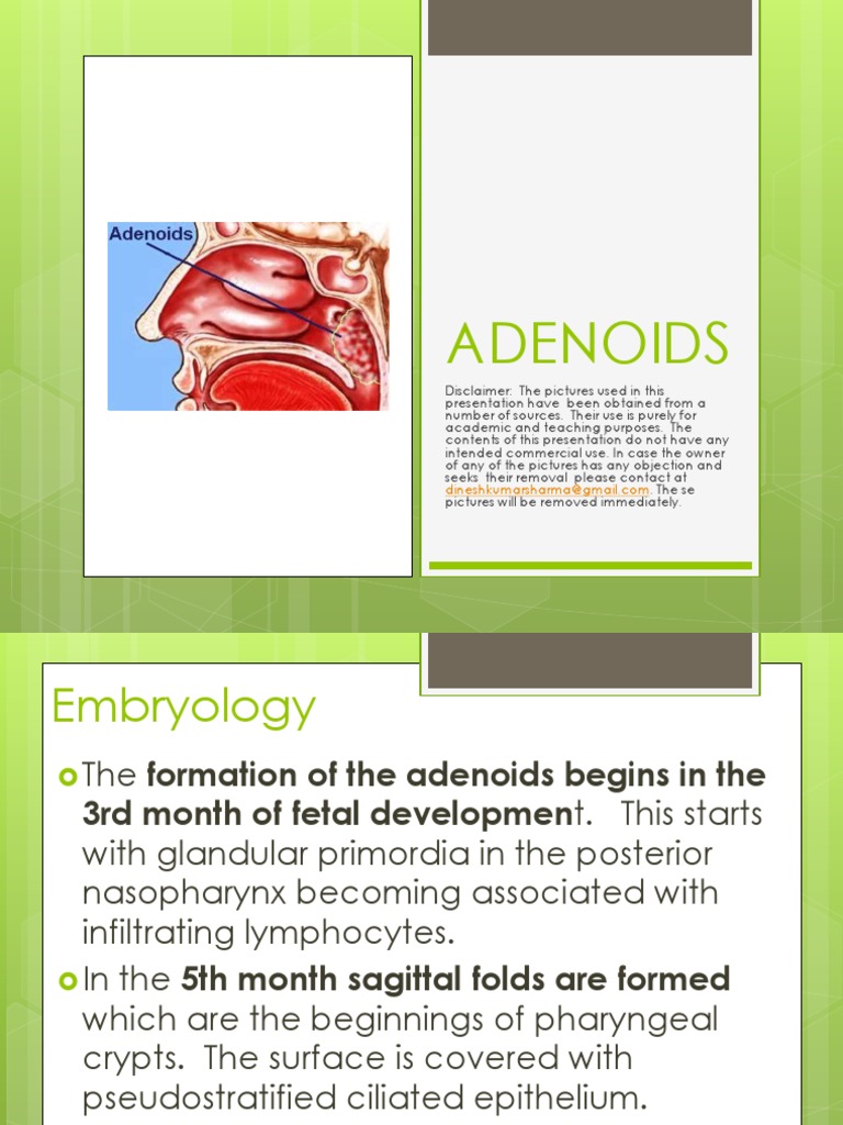 Adenoids: Anatomy and Indications | PDF | Medicine | Human Anatomy