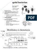 Curs 4 5 6