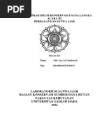 Download Laporan Praktikum Konservasi Fauna Langka  Perdagangan Satwa Liar by Ida Ayu Ari Janiawati SN169342493 doc pdf