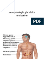 Fiziopatologia Glandelor Endocrine