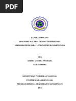 Download Diagnosis Malaria Dengan Pemeriksaan Parasit by dies SN169363506 doc pdf