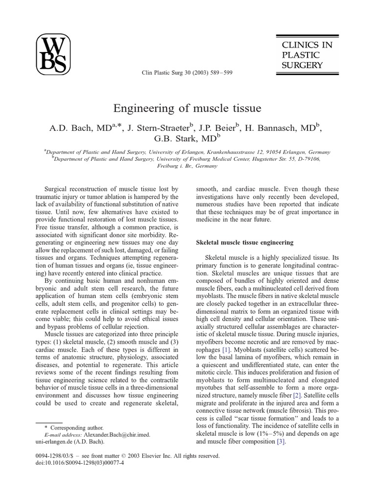 Engineering of Muscle Tissue | PDF | Tissue Engineering | Extracellular ...