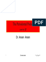 The Periodontal Pocket DR Amam