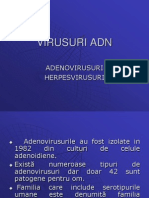 Adenovirus 
