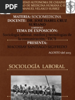 Sociología Laboral