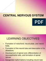 Lec 2 Neuroembyology