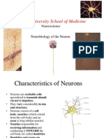 Lec 3 Neurobio of Neuron