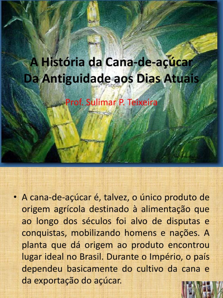 A História E Importância Da Cana-De-Açúcar No Brasil – PTHX
