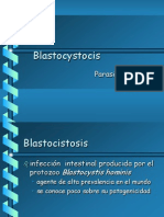Blastocyst Oc Is