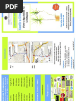 Folheto Sentir a Diferenca