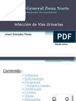 40654484 Infeccion de Vias Urinarias