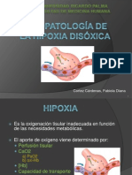 Fisiopatologia de La Hipoxia Disóxica