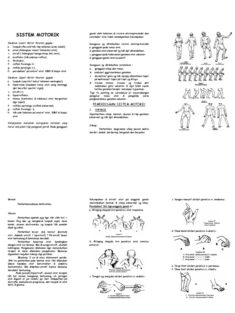 Pemeriksaan Sistem Motorik