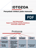 2. Protozoa usus.ppt