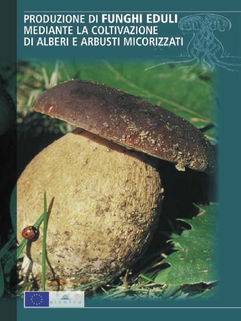 Produzione Di Funghi Eduli | PDF