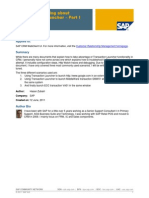 CRM Transaction Launcher - Part I PDF