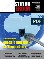 Investir au Cameroun 2.pdf
