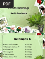 Download Etnofarmakologi-Tanaman Herbal untuk Penyakit Kulit dan Mata by Rizka Icha SN169607020 doc pdf