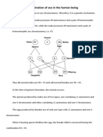 Determination of sex in the human being