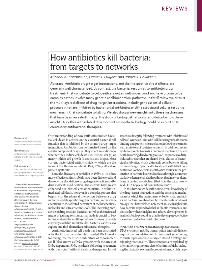 Antibiotics How Antibiotics Kill Bacteria PDF PDF Dna Repair