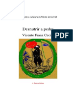 Desnutrir A Pedra VICENTE FRANZ CECIM Viagem A Andara Oo Livro Invisível