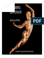 Anatomia 3 PDF