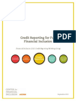 Credit Reporting For Full Financial Inclusion: Financial Inclusion 2020 Credit Reporting Working Group