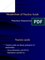 NucleotideMetabolism-2552